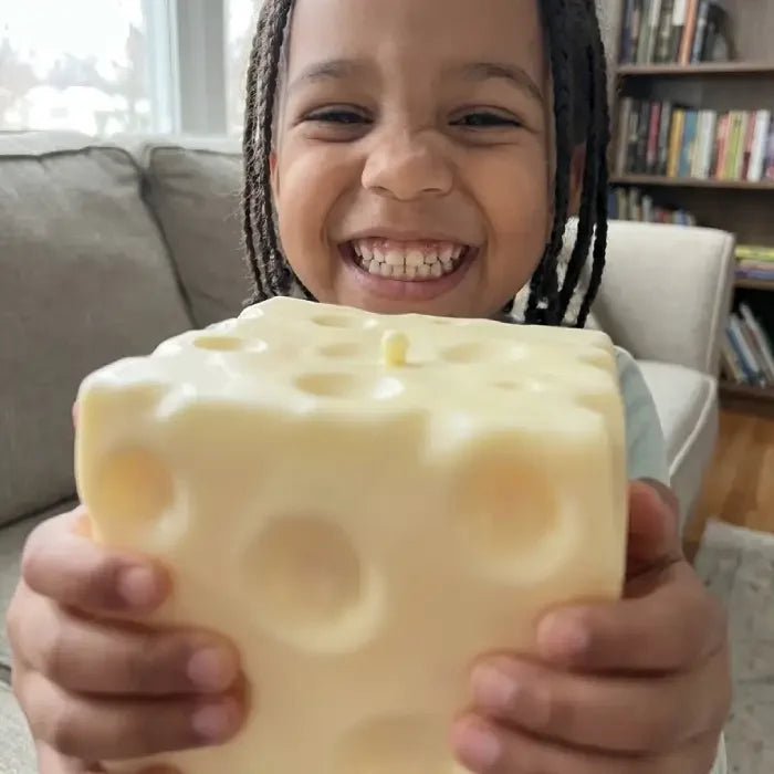 Mini Cheese Squishy