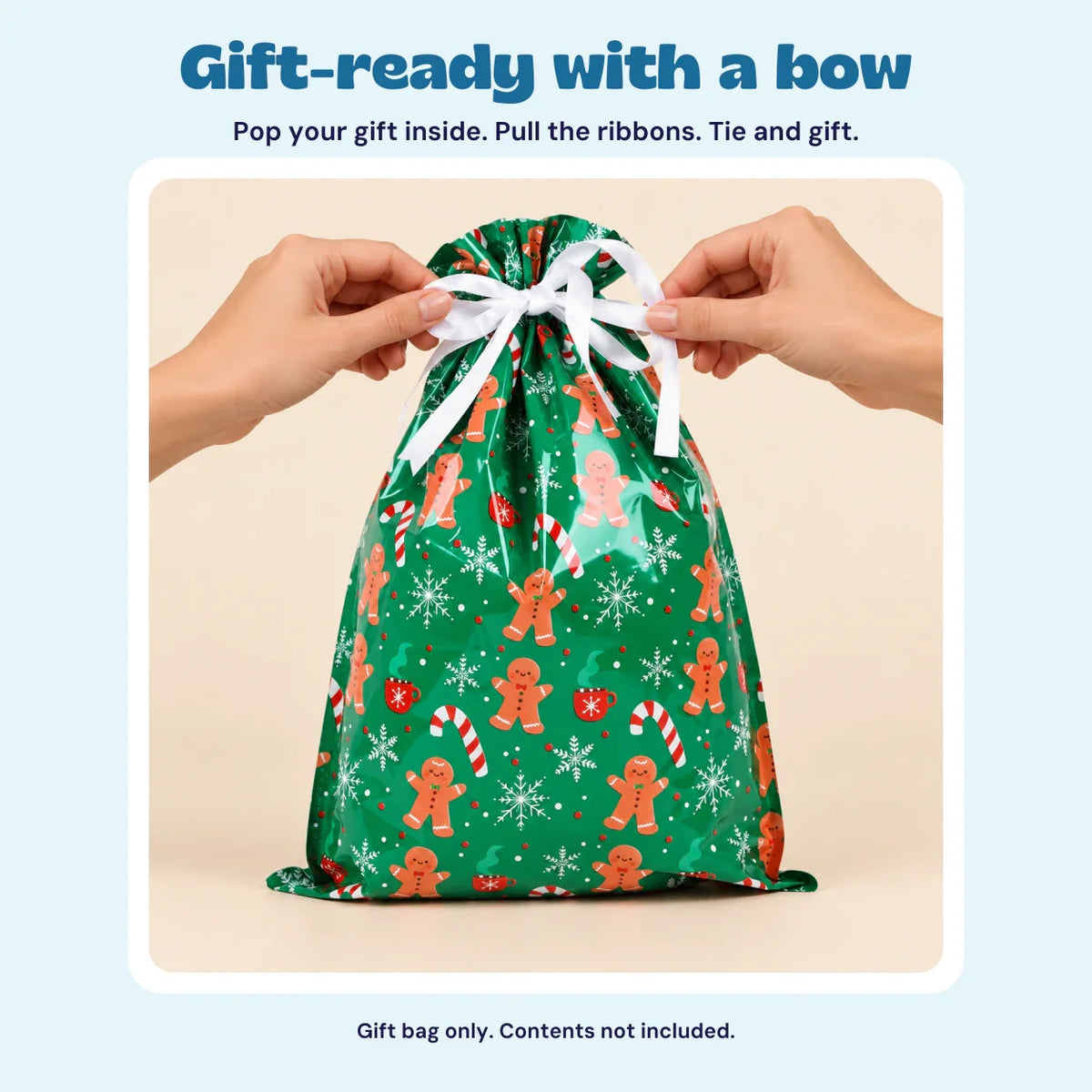 Christmas Gift Bag – 2